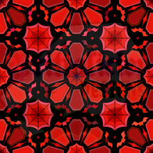 Load image into Gallery viewer, EXCLUSIVE ~ Red Coffin Kaleidoscope LARGE
